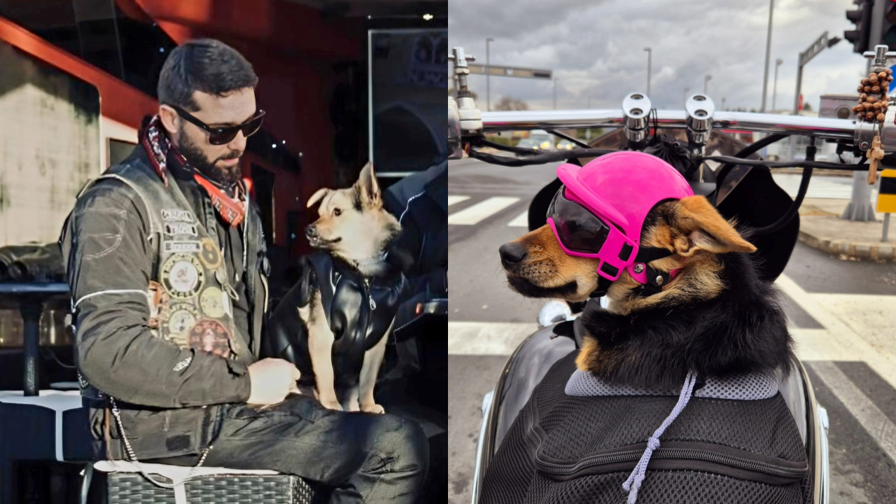 Rea je bajkerica kao i njezini vlasnici: 'Nas je spojila ljubav prema motorima, a sada ih i ona voli'