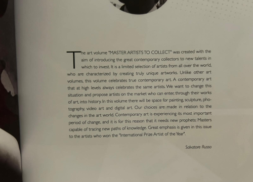 Fotografija 5 - Šibenska umjetnica Franka Baranović osvojila nagradu ‘Umjetnik godine 2025’