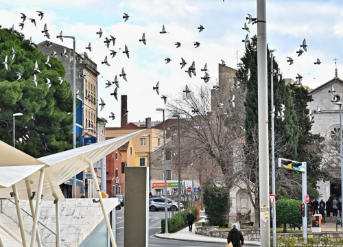Fotografija 28 - FOTO Đir po gradu, nedjelja 26. siječnja