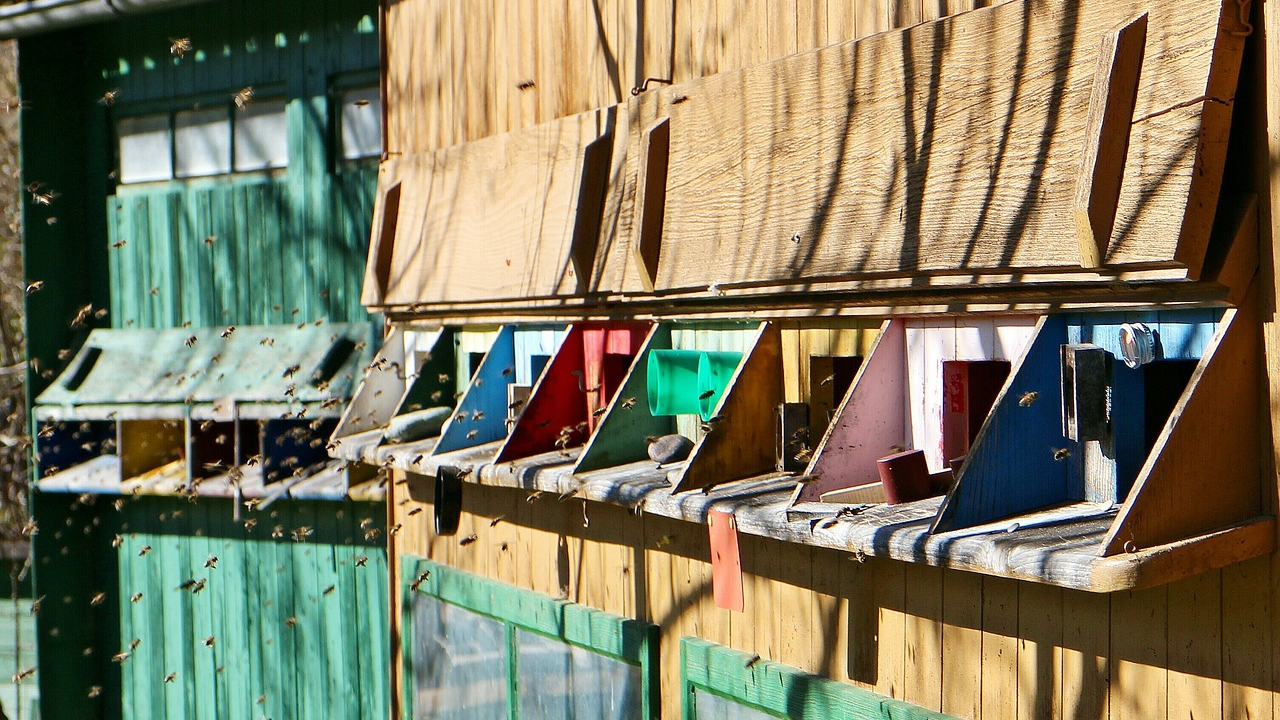 Ilegalni apartman zamaskirali u košnicu i stavili natpis ‘Čuvaj se pčela’