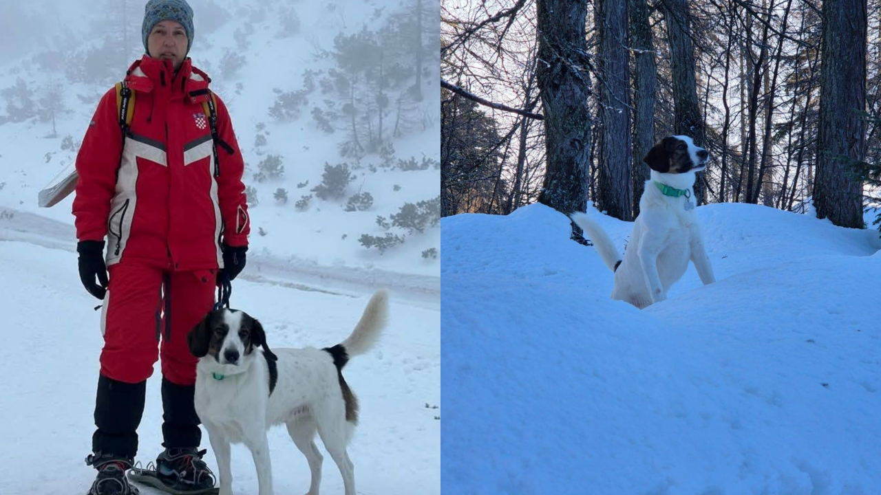 Četveronožni junak iz Knina: 'Lun je odbačen kao štene, a sad spašava živote'