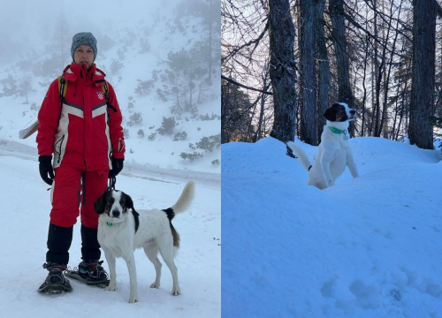 Četveronožni junak iz Knina: 'Lun je odbačen kao štene, a sad spašava živote'