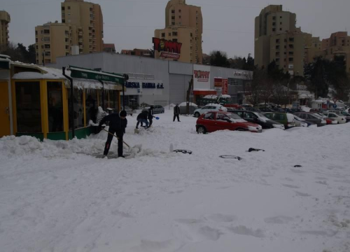 Fotografija 5 - Snijeg u Šibeniku 2012. godine
