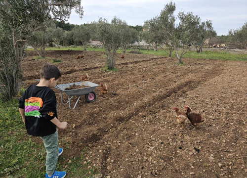Fotografija 8 - Ivan Jurković uspješan je glazbenik, sportaš i poljoprivrednik