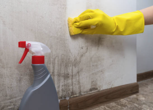 Dojadilo vam je čišćenje pljesnivih i vlažnih zidova, ništa više ne pomaže? Postoji rješenje!