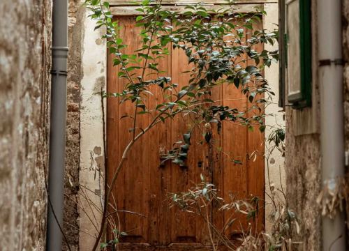 Fotografija 15 - Gorica zimi: U starom šibenskom kvartu 'nema pasa', ali nađe se poneka mačka