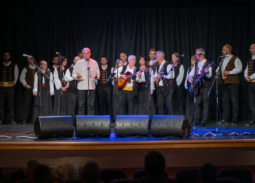 Humanitarni koncert u Vodicama: Klape zapjevale za malu Petru