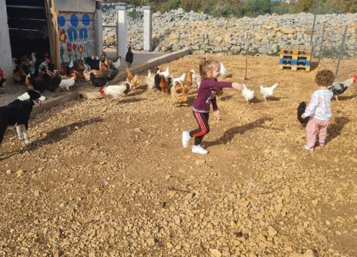 Fotografija 8 - Ivana Šimac Mehić bila je 22 godine medicinska sestra, a sada je uspješna i sretna poduzetnica na svom OPG -u