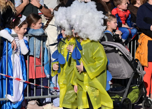 Fotografija 22 - Maškarana povorka prošla kroz grad (2)