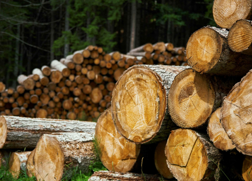 Šibenčanin (37) prodavao drva preko interneta i ostao bez 250 eura