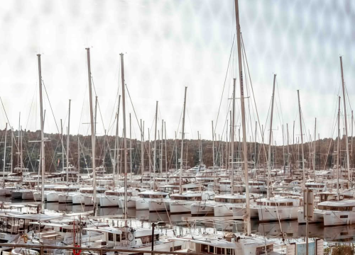 Fotografija 54 - Mandalina - pomorska oaza Šibenika