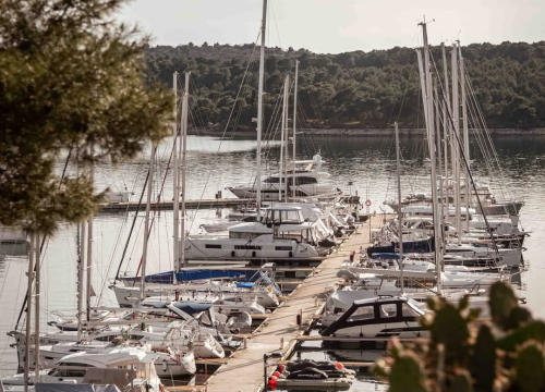 Fotografija 40 - Mandalina - pomorska oaza Šibenika