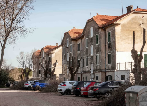 Fotografija 31 - Mandalina - pomorska oaza Šibenika