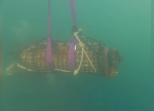 Kod Batižela izvučene dvije avionske bombe: 'S obzirom da su bile u dobrom stanju, prijetila je opasnost'