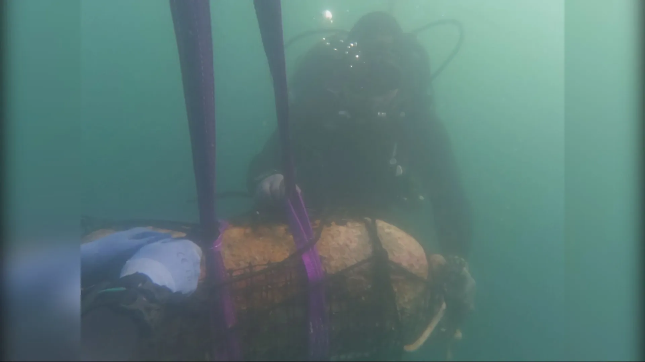 Policijski ronioci kod Batižela iz mora izvlače dvije avionske bombe