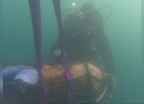 Fotografija 1 - Policijski ronioci kod Batižela iz mora izvlače dvije avionske bombe