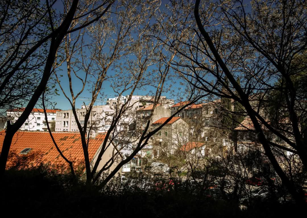 Plišac - život u autentičnom šibenskom kvartu