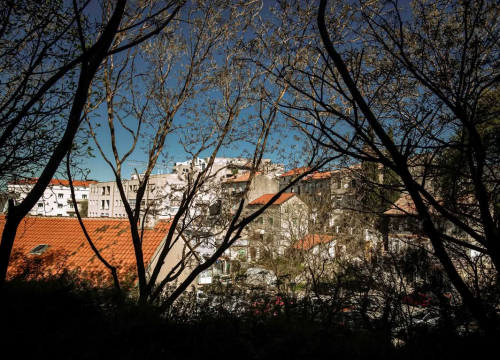 Fotografija 19 - Plišac - život u autentičnom šibenskom kvartu