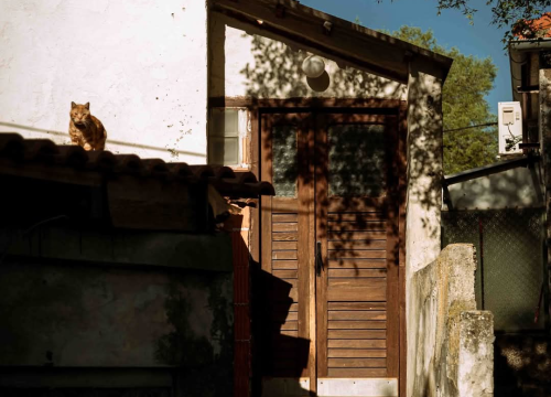 Fotografija 15 - Plišac - život u autentičnom šibenskom kvartu