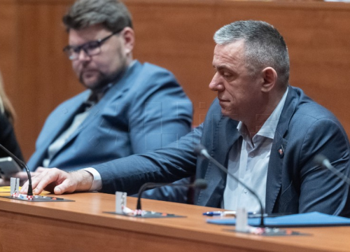 Većina zastupnika podržala uklanjanje spomenika koji veličaju agresiju na RH