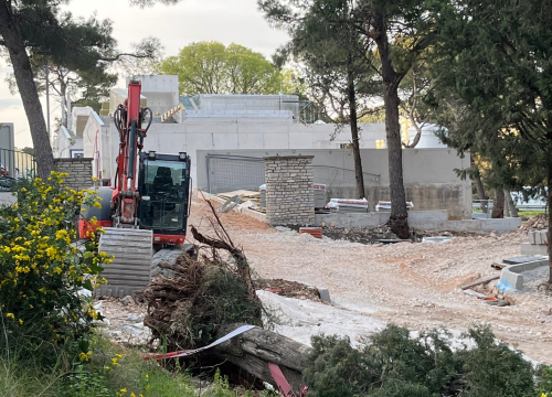 Fotografija 3 - Čempres star 800 godina pao u trenu: 'Ajte kvragu svi zajedno, sa svim svojim investicijama'