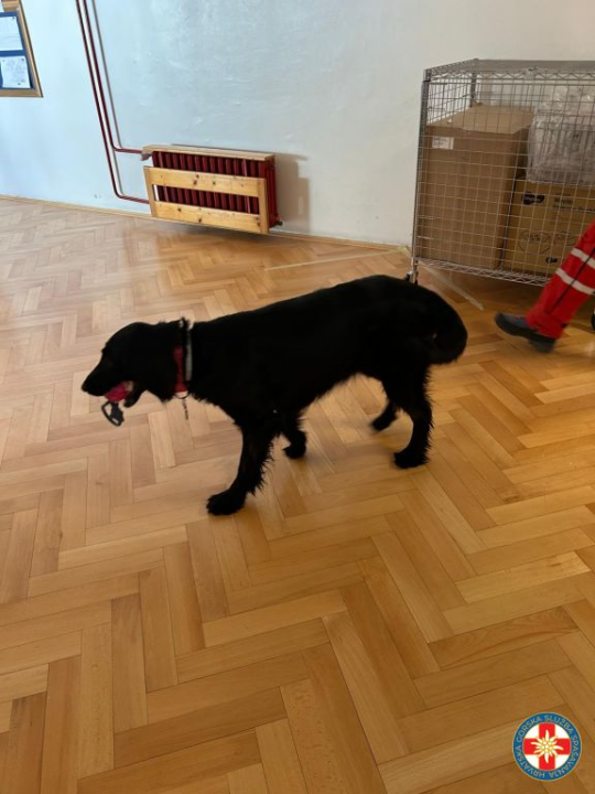 HGSS-ovci u DV Vidici