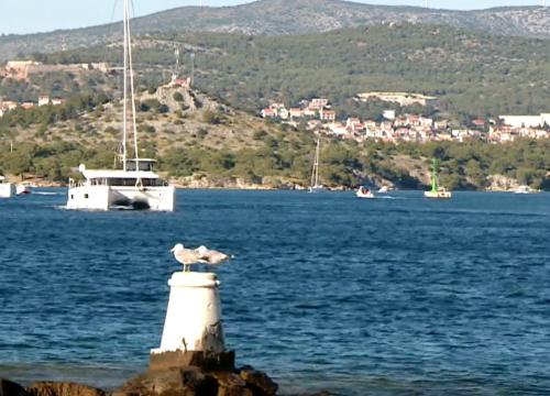 Regate u šibenskom arhipelagu obilježile početak nautičke sezone: 'Ovo nam dođe kao šlag na torti u životu'