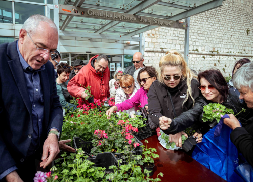 Fotografija 7 - Održana tradicionalna akcija podjele sadnica u Šibeniku
