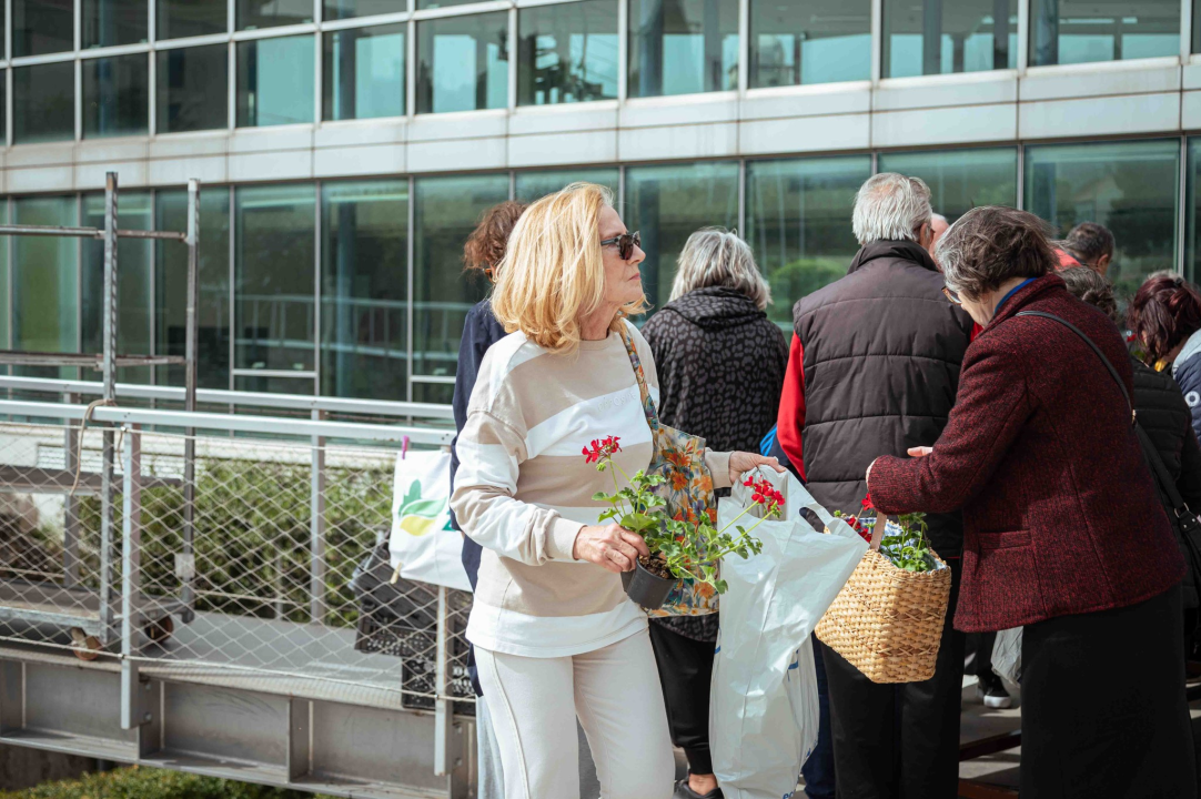 Održana tradicionalna akcija podjele sadnica u Šibeniku