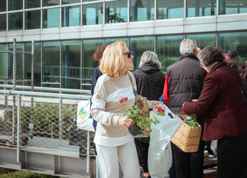 Fotografija 2 - Održana tradicionalna akcija podjele sadnica u Šibeniku