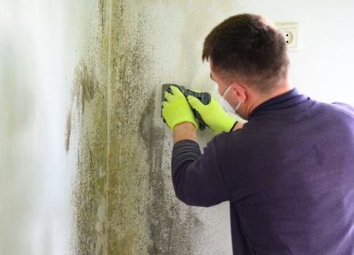 Povećana vlažnost u prostoru: Reagirajte na vrijeme, od malih fleka na zidu do velikog problema!