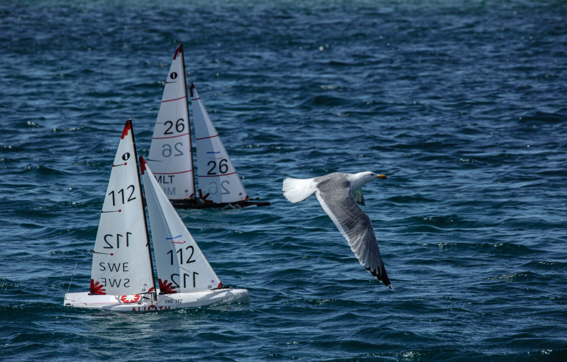 Sjajno Europsko prvenstvo u Rogoznici