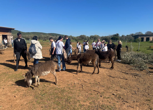 Fotografija 8 - Terenska nastava učenica iz Crne Gore