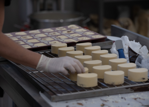 Fotografija 10 - Tražite posao? Moderato Coffee & Cakes traži pojačanje u svom timu!