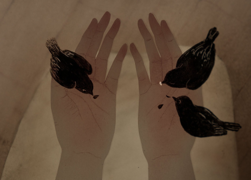 Fotografija 7 - 'Animirani Šibenik' večeras u Arsen donosi sedam slovenskih filmova