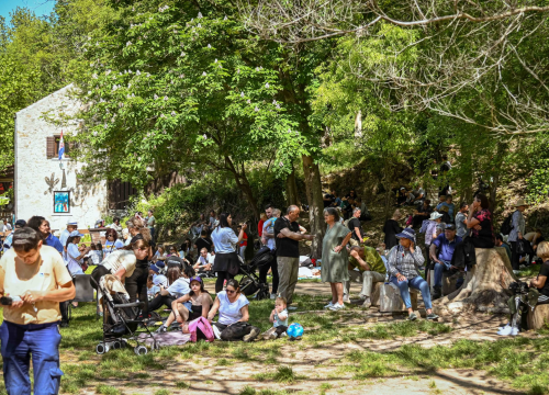 Fotografija 1 - FOTO Podijeljeno 1500 sadnica lavande, mirte i lovora: Akcija ‘Rastemo zajedno’ treću godinu zaredom u NP Krka