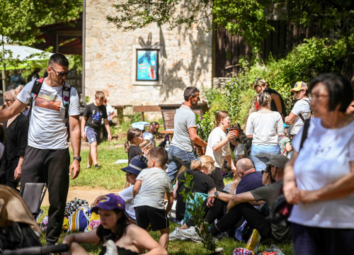 Fotografija 4 - FOTO Podijeljeno 1500 sadnica lavande, mirte i lovora: Akcija ‘Rastemo zajedno’ treću godinu zaredom u NP Krka