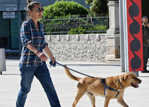 Fotografija 11 - Đir po gradu, četvrtak 1. svibnja