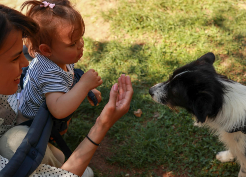 Fotografija 3 - Dobar start humanitarne akcije Šibenskih šapa na Krki