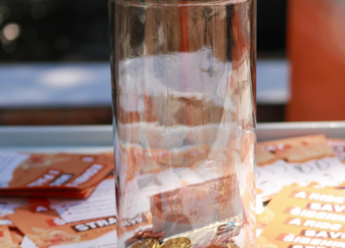 Fotografija 1 - Dobar start humanitarne akcije Šibenskih šapa na Krki