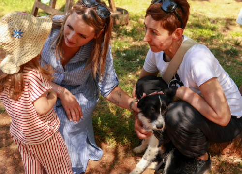 Fotografija 5 - Dobar start humanitarne akcije Šibenskih šapa na Krki