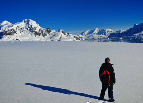 Fotografija 23 - Veliki Gogo, prvi Šibenčanin na Antarktici: 'Skočio sam u more dva puta, a pingvini baš i ne mirišu najbolje'