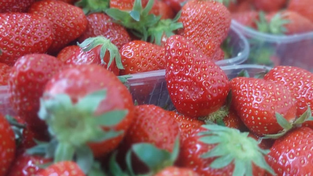 Učenici šibenske Ekonomske škole sudjelovali na EPAS susretu škola Dalmacije