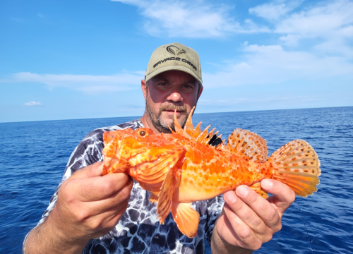 Fotografija 9 - FOTO Zabaci varalicu na šibenskoj rivi uz Savage Gear!