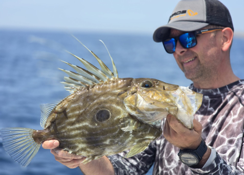 Zabaci varalicu na šibenskoj rivi uz Savage Gear!