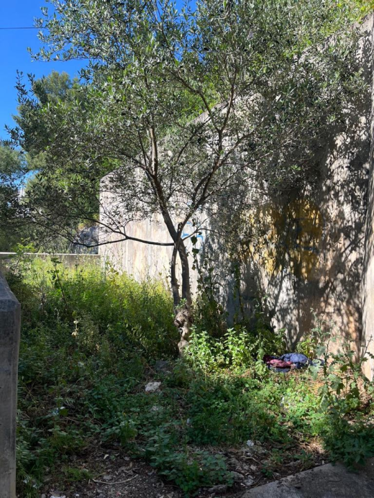 Vidici zarasli, trava do pasa: Kosilice izašle na teren kod 'Lepe Brene'