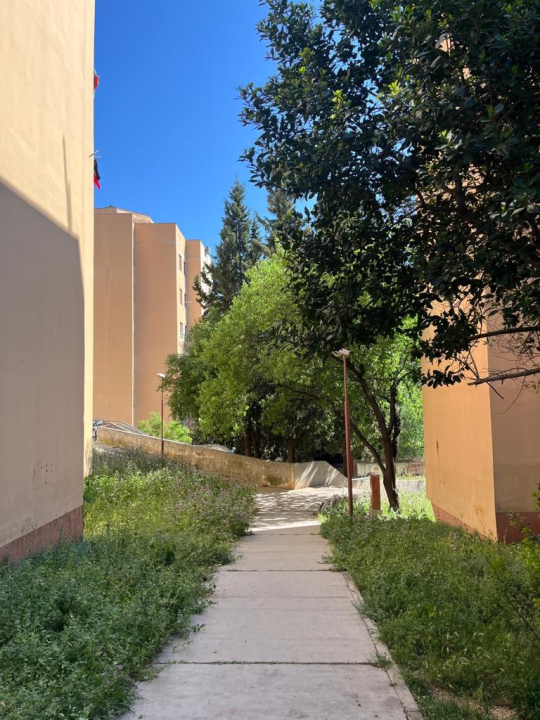 Vidici zarasli, trava do pasa: Kosilice izašle na teren kod 'Lepe Brene'