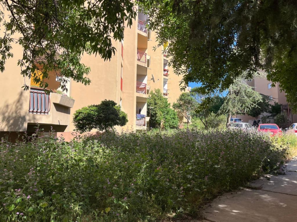 Vidici zarasli, trava do pasa: Kosilice izašle na teren kod 'Lepe Brene'