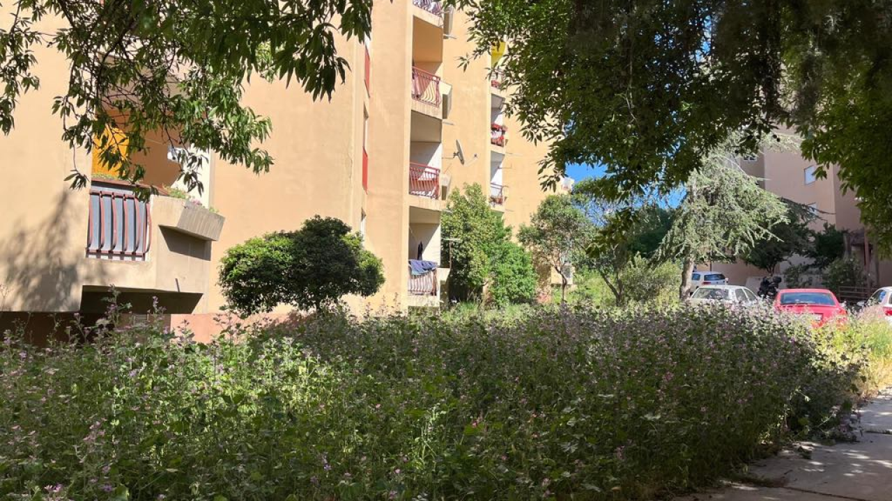 Vidici zarasli, trava do pasa: Kosilice izašle na teren kod 'Lepe Brene'