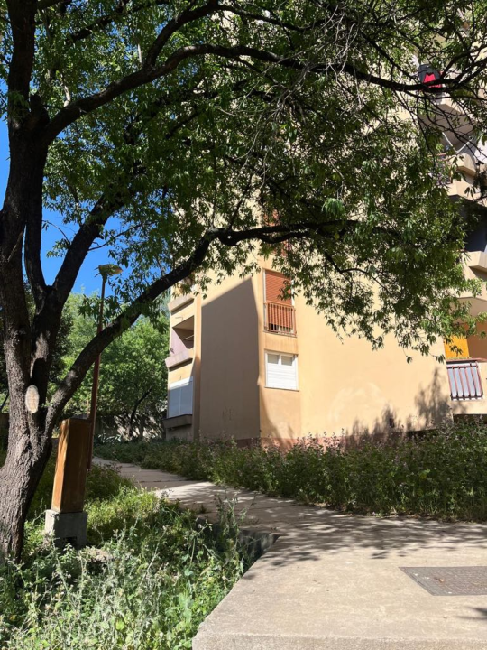 Vidici zarasli, trava do pasa: Kosilice izašle na teren kod 'Lepe Brene'